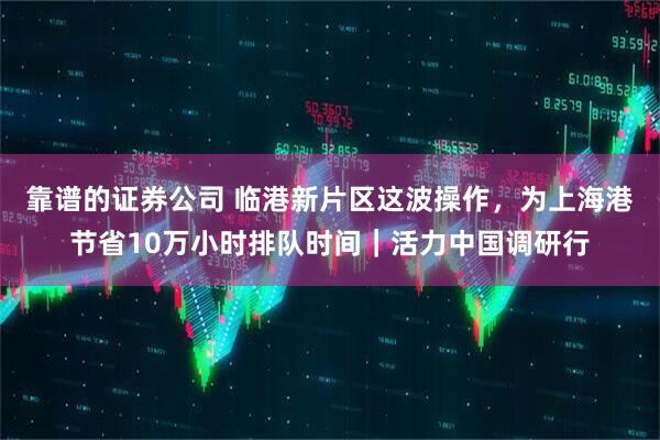 靠谱的证券公司 临港新片区这波操作，为上海港节省10万小时排队时间｜活力中国调研行