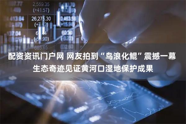 配资资讯门户网 网友拍到“鸟浪化鲲”震撼一幕 生态奇迹见证黄河口湿地保护成果