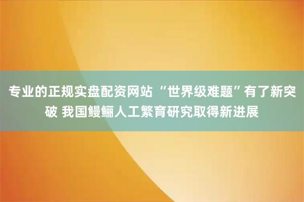 专业的正规实盘配资网站 “世界级难题”有了新突破 我国鳗鲡人工繁育研究取得新进展